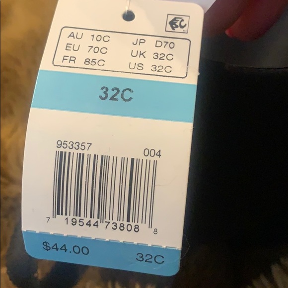 NWT PushUp Bra Padded Flora Lace Underwear b.temptd 32C brand new - Picture 4 of 9